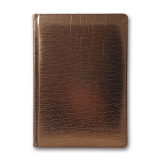 Щоденник ЗВ-43 н/дат "FLASH" бронзовий 168 арк. ==142х203 (10)