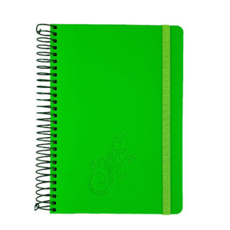 Блокнот В6/120 "SKILL" /СБВ-95/  Raso салатовий спіраль бокова  (1/10)