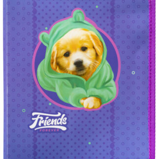 Папка на блискавці 3*19*25см "CLASS" /5630-24C/ об'ємна, "Little Friend" 500мкн PP