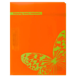 Папка з боковим притиском "Leo" /490845/ L6169 А4 "Coloriche" (1/20/120)