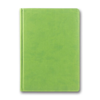 Щоденник ЗВ-43 н/дат "Infolk" фісташковий 168 арк. == 142х203 (1/10)