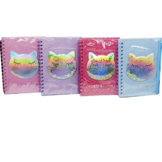 Набір 2 в 1 /1003/ Блокнот А5/80 спіраль" Кіт" ТВобкл.+папка з блискіт. (1/50)