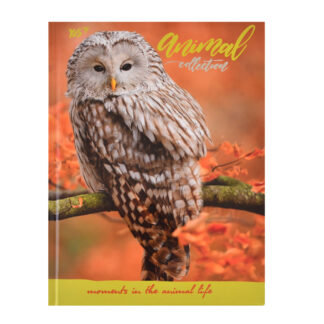 Блокнот 140*185/96 == "YES" /151483/ ІНТЕГР. "Wild force" фольга срібло + УФ виб. (3/30)