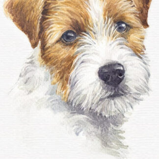 Блокнот 105х165/64арк. "Mandarin" ##  тв.обкл. МАТ ЛАМ 60 г/м2 диз. 19369 (10)