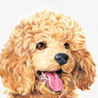 Блокнот 105х165/64арк. "Mandarin" ##  тв.обкл. МАТ ЛАМ 60 г/м2 диз. 19370 (10)