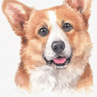 Блокнот 105х165/64арк. "Mandarin" ## тв.обкл. МАТ ЛАМ 60 г/м2 диз. 19371 (10)