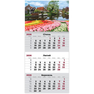 Календар "Axent" кварт. 1 пруж 2026р /8801-26-4-A/ настінний "Gardens 1" (1/10)