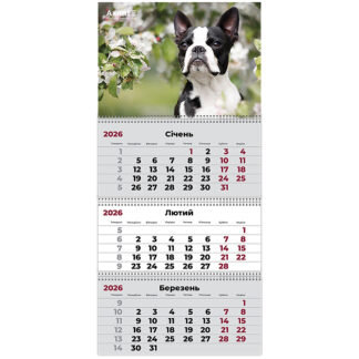 Календар "Axent" кварт. 3 пруж 2026р /8803-26-17-A/ настінний "Dogs 2" (1/20)