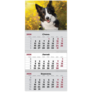 Календар "Axent" кварт. 3 пруж 2026р /8803-26-18-A/ настінний "Dogs 3" (1/20)