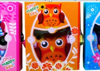 Блокнот з замочком у коробці /64K-В0188/ "Сова" == 13*16см. 50арк. 3кол.  (1/60)