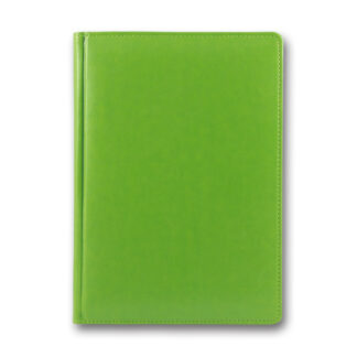 Щоденник ЗВ-55 ДАТ. 2026 CAPRICE салатовий ф142х203 К(1/10)