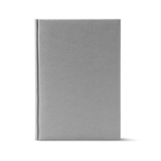 Щоденник ЗВ-55 ДАТ. 2026 "Infolk" сірий 176арк. Ф142х203 (1/10)