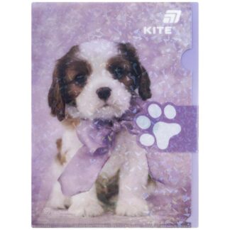 Папка-куточок А4 "Kite" /R25-248/ Rachael Hale (1/12/240)