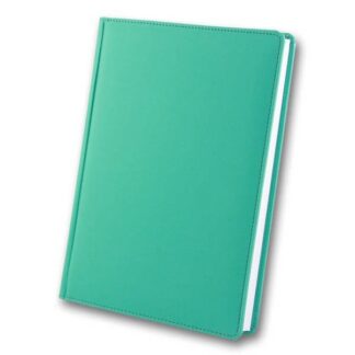 Щоденник ЗВ-43 н/дат "WINNER" м'ятний 168 арк. == 142х203 (1/10)