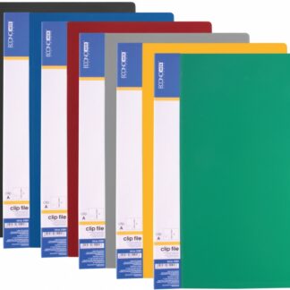 Папка-швидкозшивач А4 "Economix" "Е31201" СLIP А + кишеня, МІКС (20/120)