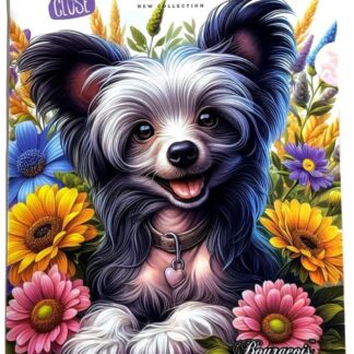 Папка-куток А4+ "Bourgeois" /Р0214/ 1 відд. 160мкм (1/20/500)