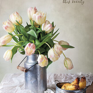 Блокнот "Student" інтегр.обкл. /A5-IC-080-732L/ == мат/лам. (4/56)