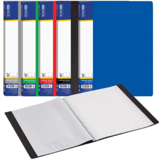 Папка А4 з 20 файлами "ECONOMIX" /E 30602/  (24/144)