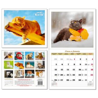 Календар 2026 /0021/ "Коти" на скобі, 320*275, 28 стор. великий квадрат (1/25)