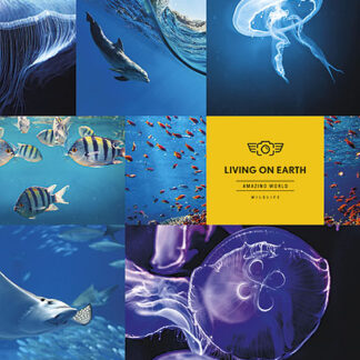 Блокнот "Student" УФ /A5-080-5057L/ == на скобі (8/96)