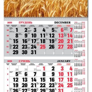 Календар квартальний 1пруж з бігунком 2026 "ЕУ" /BG1 26-05/ 295*610 мм (1/20)