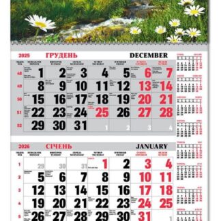 Календар квартальний 1пруж з бігунком 2026 "ЕУ" /BG1 26-06/ 295*610 мм (1/20)