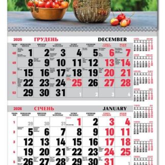 Календар квартальний 1пруж з бігунком 2026 "ЕУ" /BG1 26-08/ 295*610 мм (1/20)