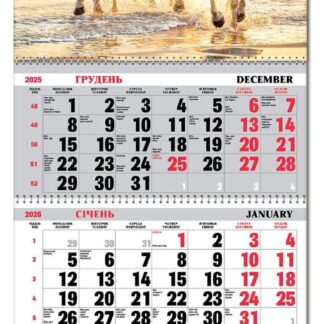 Календар квартальний 3пруж з бігунком 2026 "ЕУ" /BG3 26-01/ 295*700 мм (1/20)