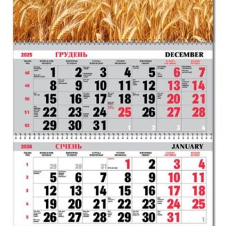 Календар квартальний 3пруж з бігунком 2026 "ЕУ" /BG3 26-19/ 295*700 мм (1/20)