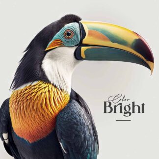 Зошит уч. "Школярик" 96арк.# /3312K/ "Colour Mix" виб.УФ-лак (дівчинка) (5/50)