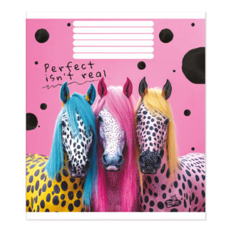 Зошит уч. "Бріск" 48арк.# /ТВ-14/ №2602 Барвистi образи (15/180)