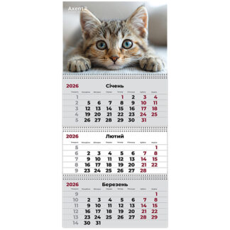 Календар "Axent" кварт. 3 пруж 2026р /8803-26-13-A/ настінний "Cats 1" (1/20)