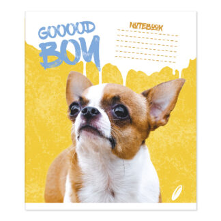 Зошит уч. "Пір'ячко" 24арк.== /ТВ-309/  №0158 Гарний хлопчик, офсетний папір 50-53 г/м2 (20/400)