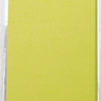 Набір заготовок для листівок "SANTI" /952262/ 10*20 см 5шт.,оливк.перламутр.,250г/м2 (1/100)