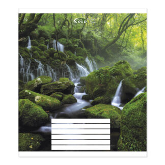 Зошит уч. "Gold Brisk" 24арк.== /ТВ-49/ №3524 Зачарований лiс, 60г/м2, УФ-лак (20/400)