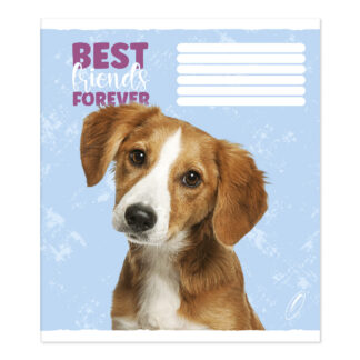 Зошит уч. "Пір'ячко" 12арк.== /ТВ-307/  №0062 "Мої друзi" офсетний папір 50-53 г/м2 (25/600)