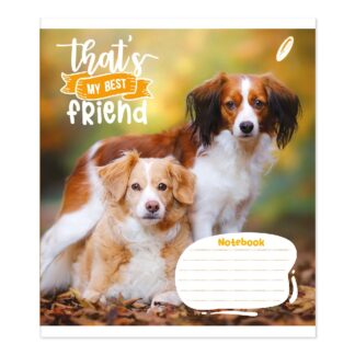 Зошит уч. "Пір'ячко" 24арк.# /ТВ-309/  №0184 Друзi назавжди офсетний папір 50-53 г/м2 (20/400)