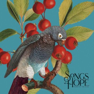 Зошит уч. "Star" 96арк.# /3410K/ "Birds (Птахи)" УФ-лак (дівчинка) (5/60)