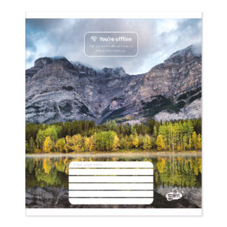 Зошит уч. "Бріск" 96арк.== /ТВ-17/ №2636 Офлайн (10/120)