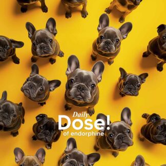 Зошит уч. "Star" 36арк.# /3559K/ УФ-лак (нейт) (20/160)