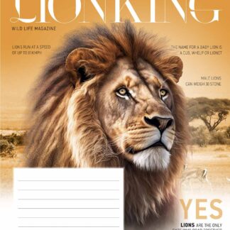 Зошит уч. "Star" 12арк.# /3428K/ ВД-лак (30/360)