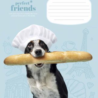 Зошит уч. "Школярик" 12арк.// /3250C/ "Perfect friends" ВД-лак (нейт) (30/300)