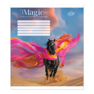 Зошит уч. "Бріск" 96арк.== /ТВ-17/ №2637 Магiя вiтру (10/120)