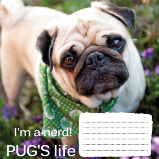 Зошит уч. "ЗУ" 60арк.== /795455/ "MOPS -17"  (10/160)