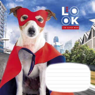 Зошит уч. "Школярик" 12арк.== /2934L/ "LooK/at me" (нейт) (30/300)