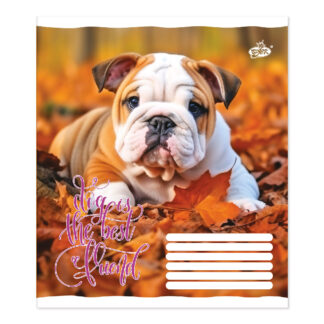 Зошит уч. "Бріск" 96арк.== /ТВ-17/ №2638 Пупсик (10/120)